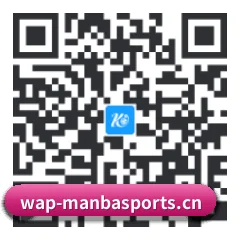 系统版 iOS 二维码